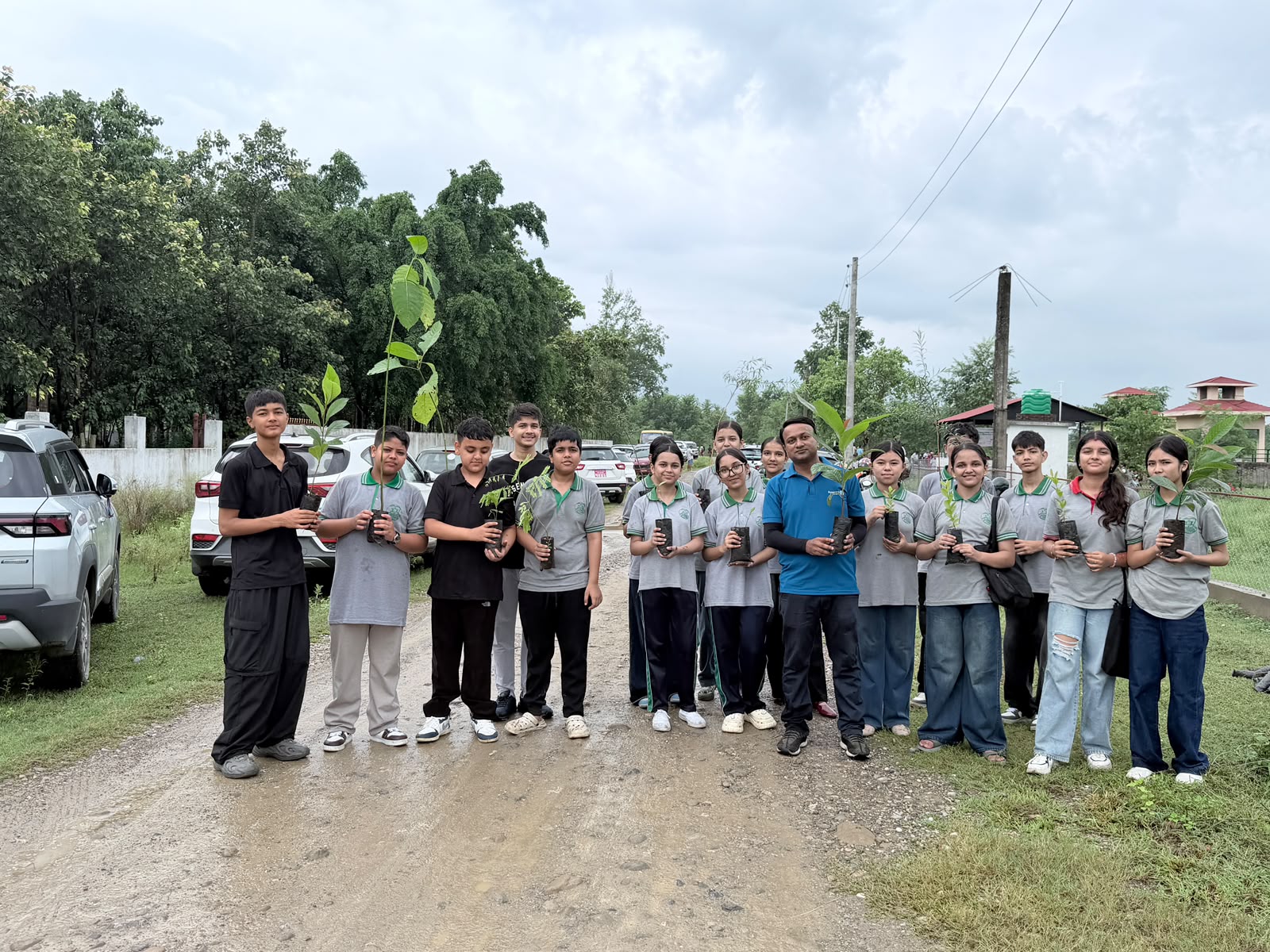 Mega Tree Plantation Program